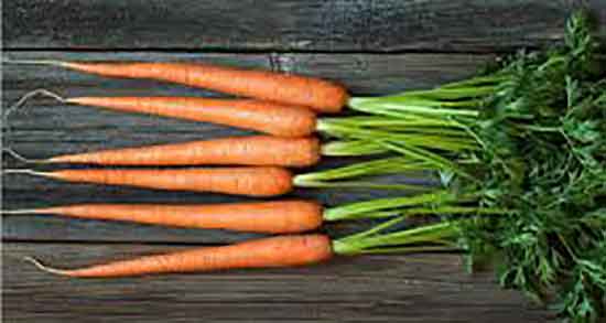 خواص هویج و عسل و مخلوط اب هویج و عسل برای ماسک صورت خواص هویج و عسل ؛ مخلوط اب هویج و عسل برای ماسک صورت