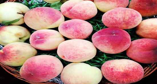 خواص و فواید شفتالو و آشنایی با خاصیت دارویی شفتالو خواص و فواید شفتالو ؛ آشنایی با خاصیت دارویی شفتالو