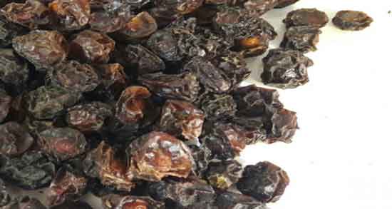 خواص و مضرات آلو خشک ؛ خوردن آلو خشک چه خواص و مضراتی برای سلامتی دارد خواص و مضرات آلو خشک ؛ خوردن آلو خشک چه خواص و مضراتی برای سلامتی دارد