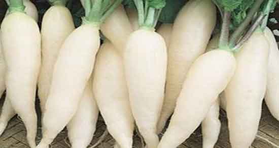 خواص و مضرات ترب سفید و فواید و عوارض ترب سفید برای زنان باردار خواص و مضرات ترب سفید ؛ فواید و عوارض ترب سفید برای زنان باردار