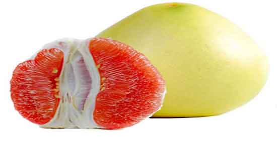 خواص و مضرات دارابی و بررسی فواید درمانی و عوارض مصرف دارابی خواص و مضرات دارابی ؛ بررسی فواید درمانی و عوارض مصرف دارابی