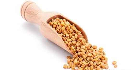 خواص و مضرات دانه شنبلیله و فواید مصرف شنبلیله برای رحم و تخمدان خواص و مضرات دانه شنبلیله ؛ فواید مصرف شنبلیله برای رحم و تخمدان