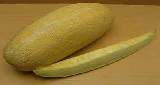 خواص و مضرات پوست خربزه ؛ فواید و عوارض پوست خربزه برای بدن چیست خواص و مضرات پوست خربزه ؛ فواید و عوارض پوست خربزه برای بدن چیست