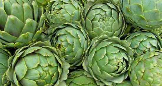 خواص و مضرات کنگر فرنگی ؛ فواید و مضرات مصرف کنگر فرنگی چیست خواص و مضرات کنگر فرنگی ؛ فواید و مضرات مصرف کنگر فرنگی چیست