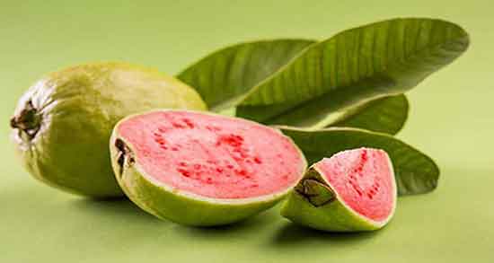 خواص و مضرات گواوا و همه چیز درباره فواید درمانی و مضرات خوردن میوه گواوا خواص و مضرات گواوا ؛ همه چیز درباره فواید درمانی و مضرات خوردن میوه گواوا