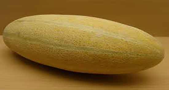 خواص پوست خربزه برای پروستات ؛ پوست خربزه برای درمان پروستات خواص پوست خربزه برای پروستات ؛ پوست خربزه برای درمان پروستات