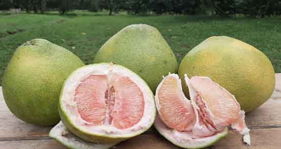 خواص پوست دارابی و همه چیز درباره خاصیت دارویی پوست دارابی خواص پوست دارابی ؛ همه چیز درباره خاصیت دارویی پوست دارابی