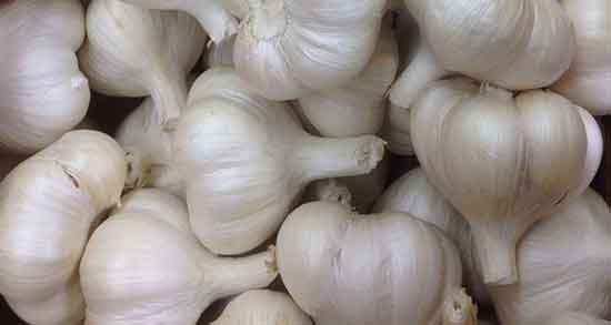 خواص پوست سیر و تازه برای مو و خواص درمانی سوزاندن اسپند پوست سیر و پیاز خواص پوست سیر ؛ تازه برای مو و خواص درمانی سوزاندن اسپند پوست سیر و پیاز