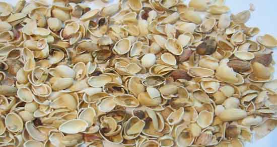 خواص پوست پسته خشک و خواص باورنکردنی پوست پسته خشک برای سلامتی خواص پوست پسته خشک ؛ خواص باورنکردنی پوست پسته خشک برای سلامتی