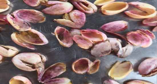 خواص پوست پسته در طب سنتی و فواید درمانی پوست پسته خواص پوست پسته در طب سنتی ؛ فواید درمانی پوست پسته