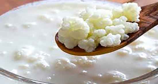 خواص کفیر در طب سنتی و فواید خوردن کفیر از نظر طب سنتی چیست خواص کفیر در طب سنتی ؛ فواید خوردن کفیر از نظر طب سنتی چیست