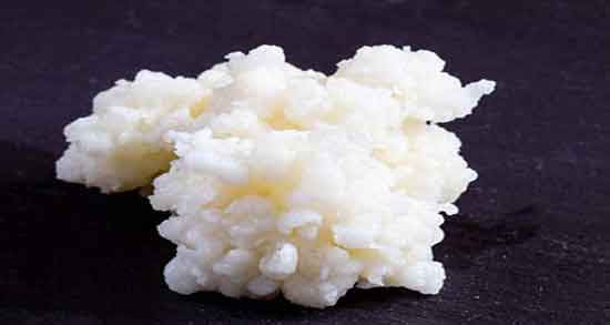 خواص کفیر دوغ و فواید مصرف دوغ کفیر برای سلامتی جنین زنان باردار خواص کفیر دوغ ؛ فواید مصرف دوغ کفیر برای سلامتی جنین زنان باردار