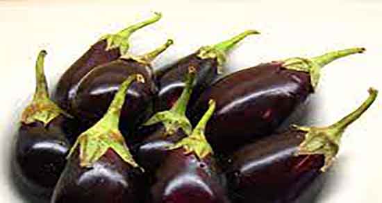 خواص کلاهک بادمجان برای بواسیر ؛ کلاهک بادمجان برای درمان بواسیر خواص کلاهک بادمجان برای بواسیر ؛ کلاهک بادمجان برای درمان بواسیر