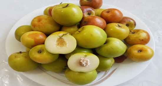 خواص کنار برای دیابت و تنظیم سطح قند خون افراد دیابتی با خوردن کنار خواص کنار برای دیابت ؛ تنظیم سطح قند خون افراد دیابتی با خوردن کنار