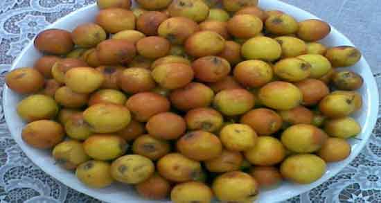 خواص کنار برای مو و خاصیت استفاده از کنار برای درمان ریزش مو خواص کنار برای مو ؛ خاصیت استفاده از کنار برای درمان ریزش مو