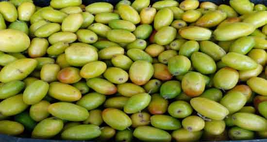 خواص کنار برای پوست صورت ؛ تاثیر استفاده از کنار برای آبرسانی به پوست خواص کنار برای پوست صورت ؛ تاثیر استفاده از کنار برای آبرسانی به پوست