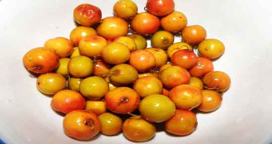 خواص کنار گرمسیری و حفظ سلامتی بدن با مصرف کنار گرمسیری خواص کنار گرمسیری ؛ حفظ سلامتی بدن با مصرف کنار گرمسیری