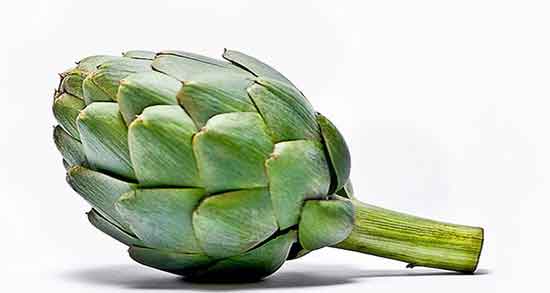 خواص کنگر فرنگی برای کبد ؛ خواص کنگر فرنگی برای چربی کبد خواص کنگر فرنگی برای کبد ؛ خواص کنگر فرنگی برای چربی کبد