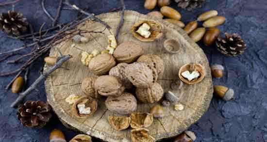 خواص گردو در بارداری برای جنین و منگنز موجود در گردو مفید برای رشد جنین خواص گردو در بارداری برای جنین ؛ منگنز موجود در گردو مفید برای رشد جنین