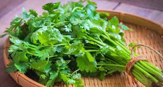 خواص گشنیز برای رحم و فواید مصرف گشنیز برای درمان عفونت رحم خواص گشنیز برای رحم ؛ فواید مصرف گشنیز برای درمان عفونت رحم