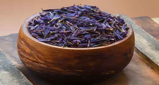 خواص گل گاوزبان با فندق و فواید دارویی و درمانی مصرف گل گاوزبان با فندق خواص گل گاوزبان با فندق ؛ فواید دارویی و درمانی مصرف گل گاوزبان با فندق