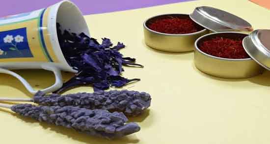 خواص گل گاوزبان با نبات ؛ فواید درمانی دم کردن گل گاوزبان با نبات خواص گل گاوزبان با نبات ؛ فواید درمانی دم کردن گل گاوزبان با نبات