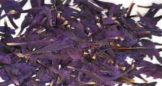 خواص گل گاوزبان برای افسردگی ؛ خواص شادی آور گل گاوزبان برای درمان افسردگی خواص گل گاوزبان برای افسردگی ؛ خواص شادی آور گل گاوزبان برای درمان افسردگی