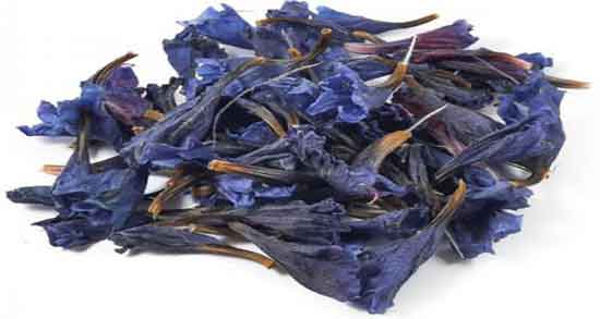 خواص گل گاوزبان برای قلب و درمان تپش قلب با مصرف گل گاوزبان خواص گل گاوزبان برای قلب ؛ درمان تپش قلب با مصرف گل گاوزبان