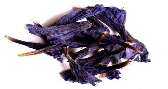 خواص گل گاوزبان برای معده و تاثیر خوردن گل گاوزبان برای تسکین اعصاب معده خواص گل گاوزبان برای معده ؛ تاثیر خوردن گل گاوزبان برای تسکین اعصاب معده