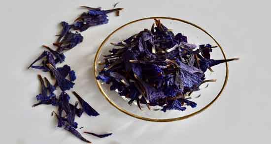 خواص گل گاوزبان در سرماخوردگی ؛ درمان گلو درد و سرماخوردگی با مصرف گل گاوزبان خواص گل گاوزبان در سرماخوردگی ؛ درمان گلو درد و سرماخوردگی با مصرف گل گاوزبان