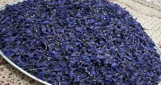 خواص گل گاوزبان در شب و داشتن خوابی راحت با خوردن گل گاوزبان در شب خواص گل گاوزبان در شب ؛ داشتن خوابی راحت با خوردن گل گاوزبان در شب