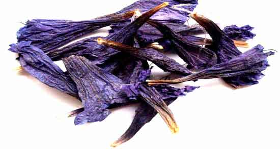 خواص گل گاوزبان در شیردهی و آیا می توان در دوران شیردهی گل گاوزبان مصرف کرد خواص گل گاوزبان در شیردهی ؛ آیا می توان در دوران شیردهی گل گاوزبان مصرف کرد