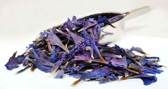 خواص گل گاوزبان در طب سنتی ؛ همه چیز درباره خاصیت درمانی گل گاوزبان خواص گل گاوزبان در طب سنتی ؛ همه چیز درباره خاصیت درمانی گل گاوزبان