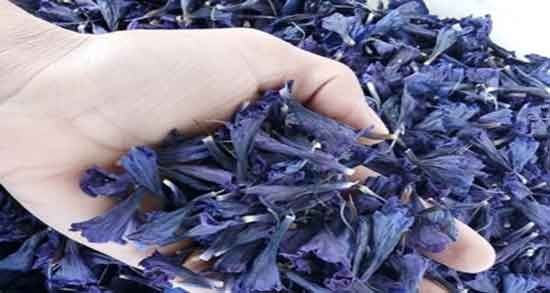 خواص گل گاوزبان در ماه آخر بارداری و تاثیر مصرف گل گاوزبان برای داشتن زایمانی راحت تر خواص گل گاوزبان در ماه آخر بارداری ؛ تاثیر مصرف گل گاوزبان برای داشتن زایمانی راحت تر