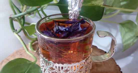 خواص گل گاوزبان و عسل و درمان سرفه و گلو درد با گل گاوزبان و عسل خواص گل گاوزبان و عسل ؛ درمان سرفه و گلو درد با گل گاوزبان و عسل