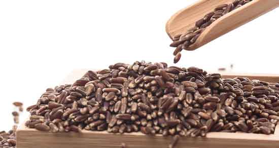 خواص گندم سیاه در طب سنتی و بررسی خواص و ارش غذایی گندم سیاه خواص گندم سیاه در طب سنتی ؛ بررسی خواص و ارش غذایی گندم سیاه