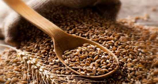 خواص گندم سیاه چیست و همه چیز درباره خواص و فواید مصرف گندم سیاه خواص گندم سیاه چیست ؛ همه چیز درباره خواص و فواید مصرف گندم سیاه