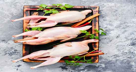 خواص گوشت بلدرچین برای دیابت ؛ فواید گوشت بلدرچین برای قند خون خواص گوشت بلدرچین برای دیابت ؛ فواید گوشت بلدرچین برای قند خون