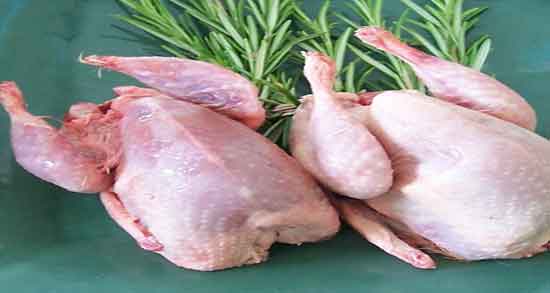 خواص گوشت بلدرچین برای نوزاد و فواید گوشت بلدرچین برای بچه ها خواص گوشت بلدرچین برای نوزاد ؛ فواید گوشت بلدرچین برای بچه ها