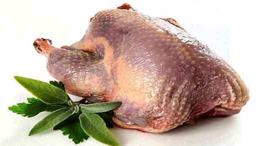 خواص گوشت بوقلمون برای مردان و فواید گوشت بوقلمون برای اقایان خواص گوشت بوقلمون برای مردان ؛ فواید گوشت بوقلمون برای اقایان