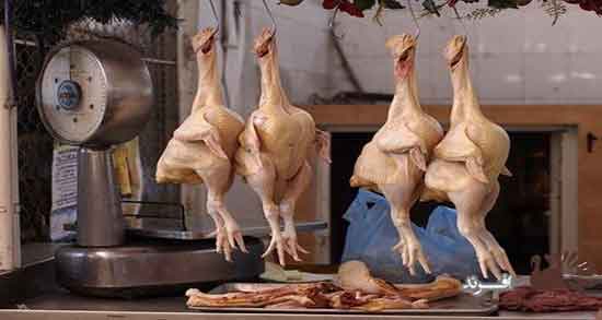 خواص گوشت بوقلمون و بلدرچین و فواید مصرف گوشت بوقلمون و بلدرچین خواص گوشت بوقلمون و بلدرچین ؛ فواید مصرف گوشت بوقلمون و بلدرچین