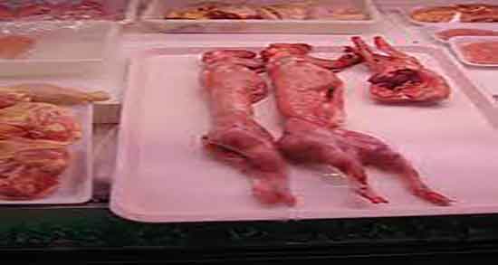 خواص گوشت خرگوش اهلی و فواید گوشت خرگوش اهلی برای بارداری خواص گوشت خرگوش اهلی ؛ فواید گوشت خرگوش اهلی برای بارداری