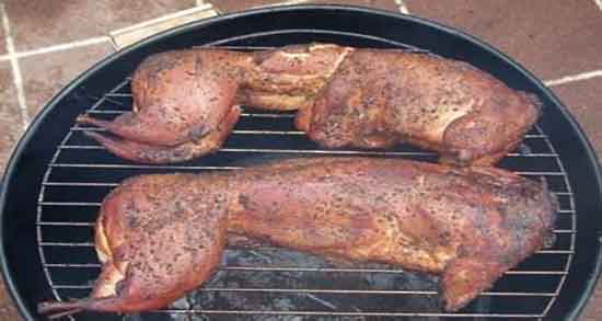 خواص گوشت خرگوش برای سرفه و گوشت خرگوش برای تنگی نفس خواص گوشت خرگوش برای سرفه ؛ گوشت خرگوش برای تنگی نفس