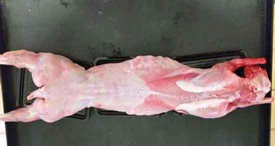 خواص گوشت خرگوش صحرایی و گوشت خرگوش صحرایی برای نازایی خواص گوشت خرگوش صحرایی ؛ گوشت خرگوش صحرایی برای نازایی