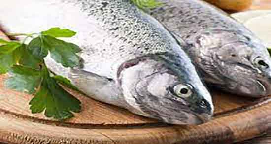 خواص گوشت ماهی چیست و بارزترین مزیت گوشت ماهی چیست خواص گوشت ماهی چیست ؛ بارزترین مزیت گوشت ماهی چیست