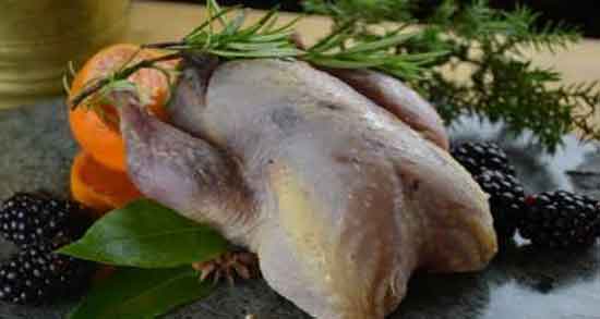 خواص گوشت کبک برای نوزاد و مواد مغذی موجود در گوشت کبک مفید برای نوزاد خواص گوشت کبک برای نوزاد ؛ مواد مغذی موجود در گوشت کبک مفید برای نوزاد