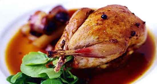 خواص گوشت کبک در دوران بارداری و درمان کم خونی در بارداری با خوردن گوشت کبک خواص گوشت کبک در دوران بارداری ؛ درمان کم خونی در بارداری با خوردن گوشت کبک