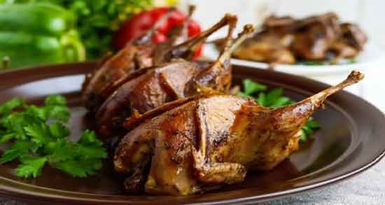 خواص گوشت کبک در طب اسلامی و بررسی خاصیت خوردن گوشت کبک خواص گوشت کبک در طب اسلامی ؛ بررسی خاصیت خوردن گوشت کبک