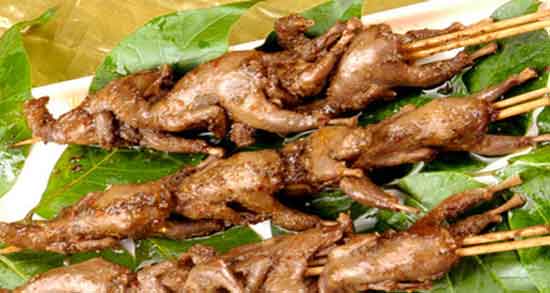 خواص گوشت گنجشک دکتر روازاده ؛ خاصیت درمانی گوشت گنجشک از دیدگاه دکتر روازاده خواص گوشت گنجشک دکتر روازاده ؛ خاصیت درمانی گوشت گنجشک از دیدگاه دکتر روازاده