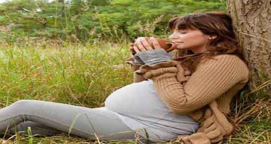 خواص یونجه برای زنان باردار و فواید عرق یونجه برای زنان حامله چیست خواص یونجه برای زنان باردار ؛ فواید عرق یونجه برای زنان حامله چیست